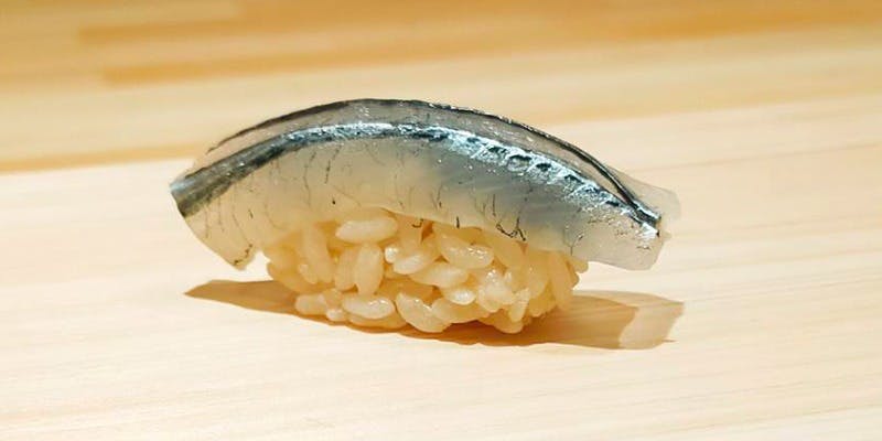 鮓樹