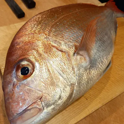 相模湾の地魚と地場野菜を中心とした食材を使用