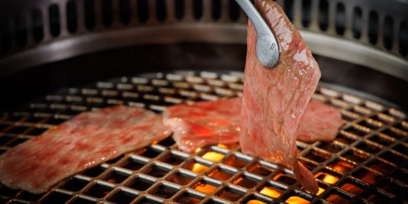 NoruraDa（ノルラダ）