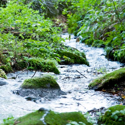 八ヶ岳の雄大な自然