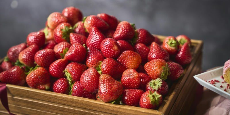 ストロベリーデザートビュッフェ＋フレッシュいちごの食べ放題（1/10～5/31 土日祝限定）