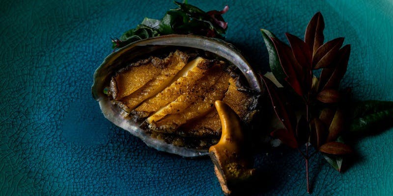 鮑【あわび】コース　最高級A5ランク黒毛和牛と活け鮑を堪能 10品