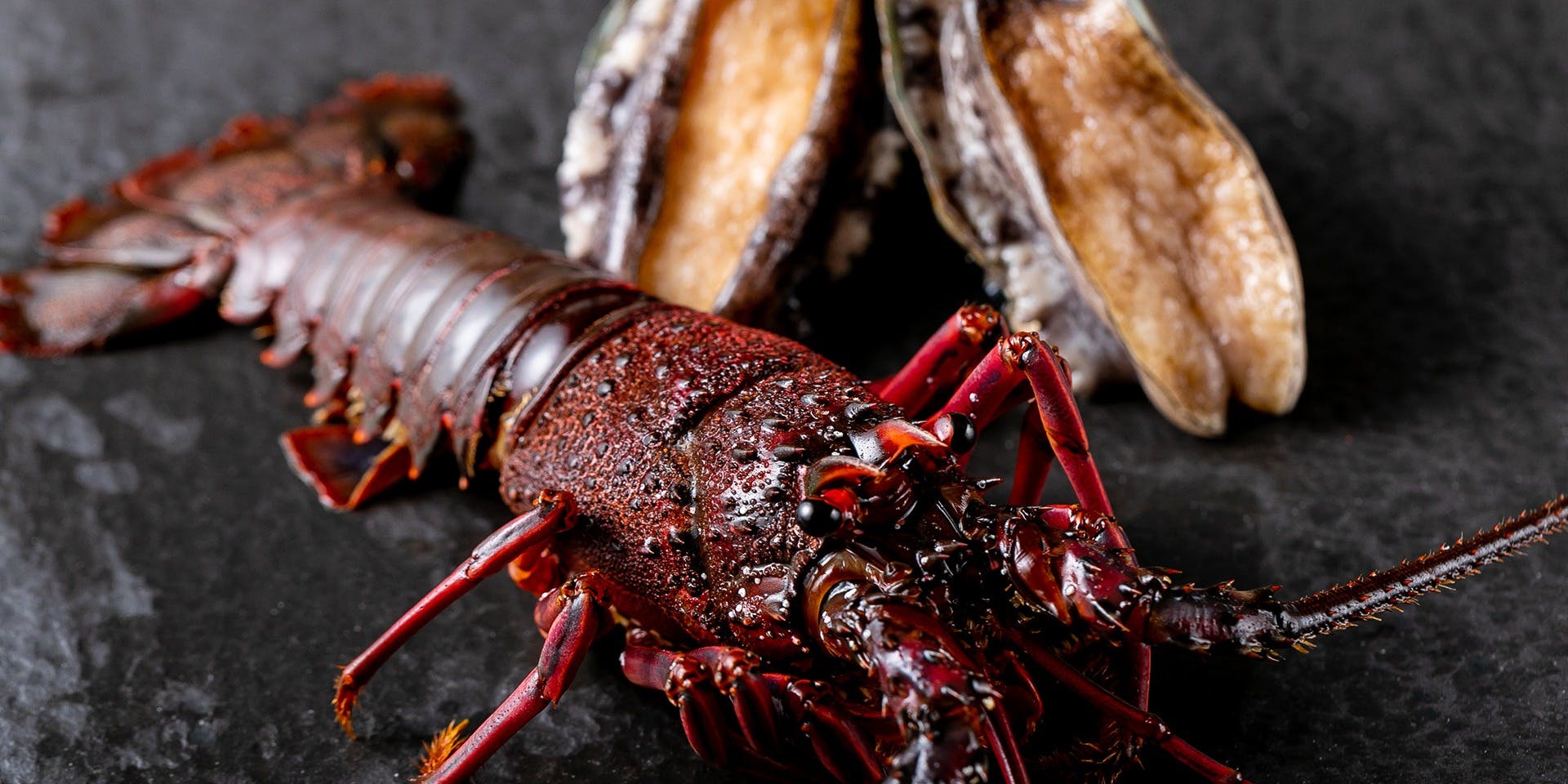 鉄板焼 grow 立川店