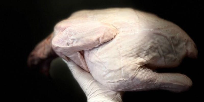 【おまかせコース】季節の日本料理、焼鳥など