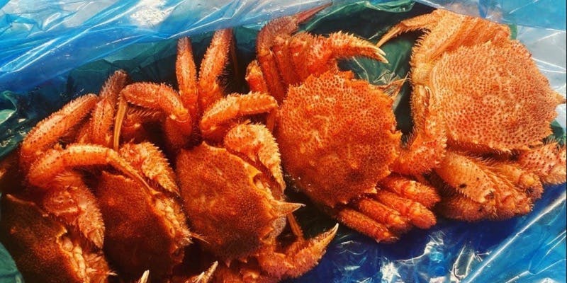 【極上毛蟹コース】33,000円（サ・税込） 