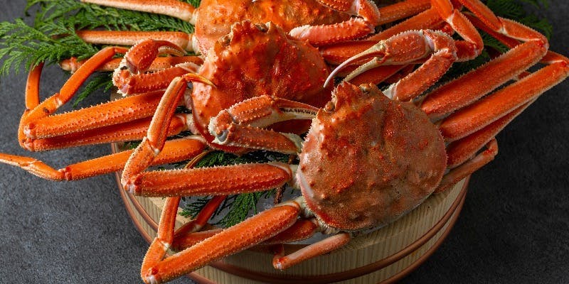 【夜】25,000円　噴火湾ズワイ蟹甲羅焼きコース