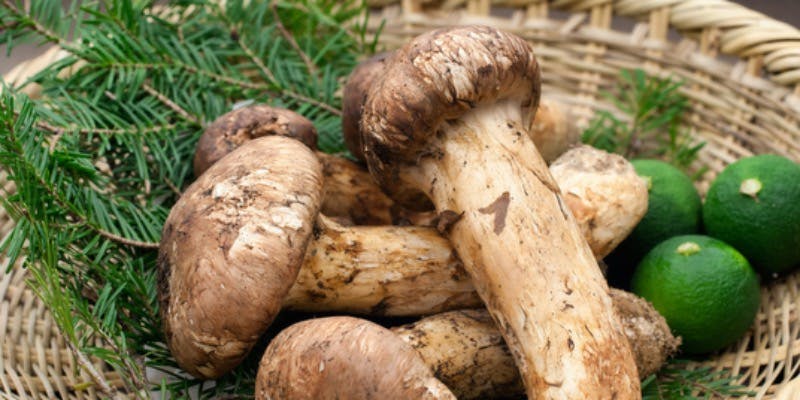 割烹 柊 - 画像14