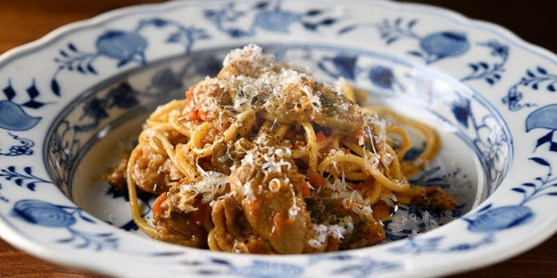 ブラチェリア カクタス（BRACERIA CACTUS）