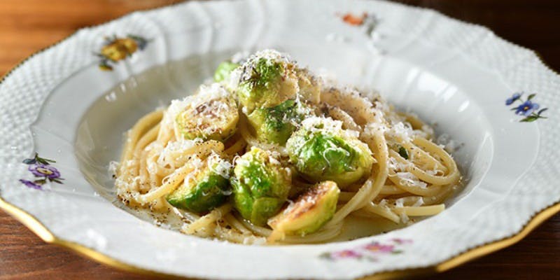 ブラチェリア カクタス（BRACERIA CACTUS）