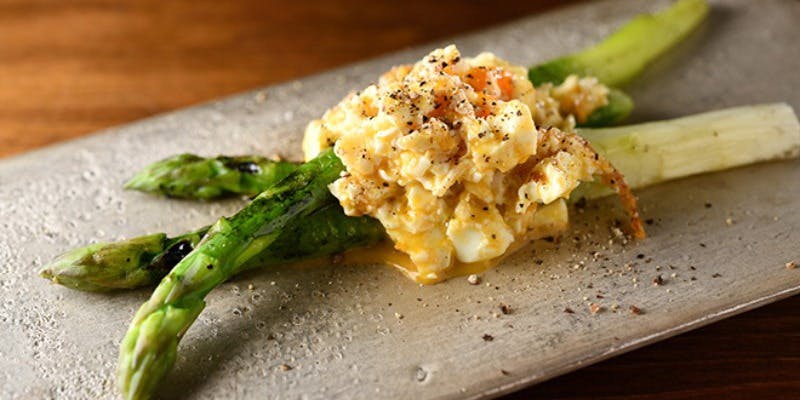 ブラチェリア カクタス（BRACERIA CACTUS）