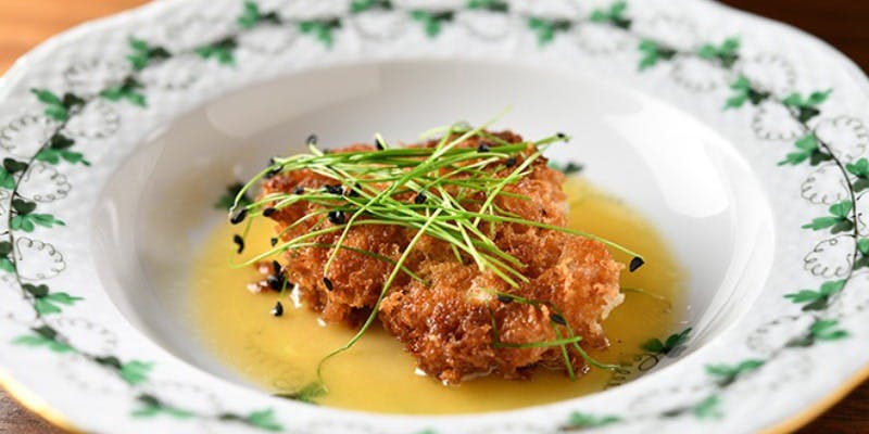 ブラチェリア カクタス（BRACERIA CACTUS）