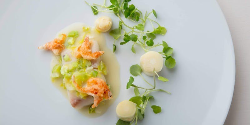 DRAQUIRE（ドラキア）