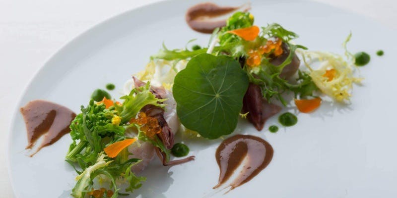 DRAQUIRE（ドラキア）