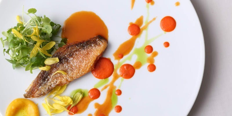 DRAQUIRE（ドラキア）