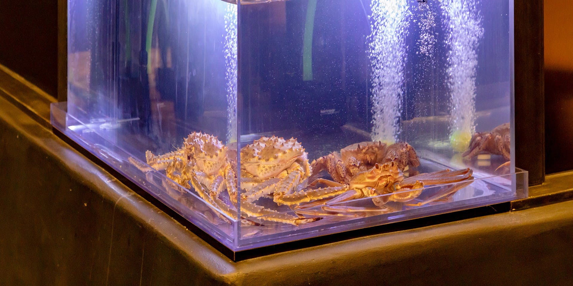 品川 かに雅 蟹会席【極】 ランチ プラン(12208387)・メニュー