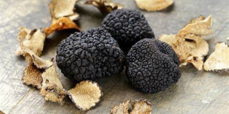 イタリアン POZ DINING 関内店（POZ DINING）