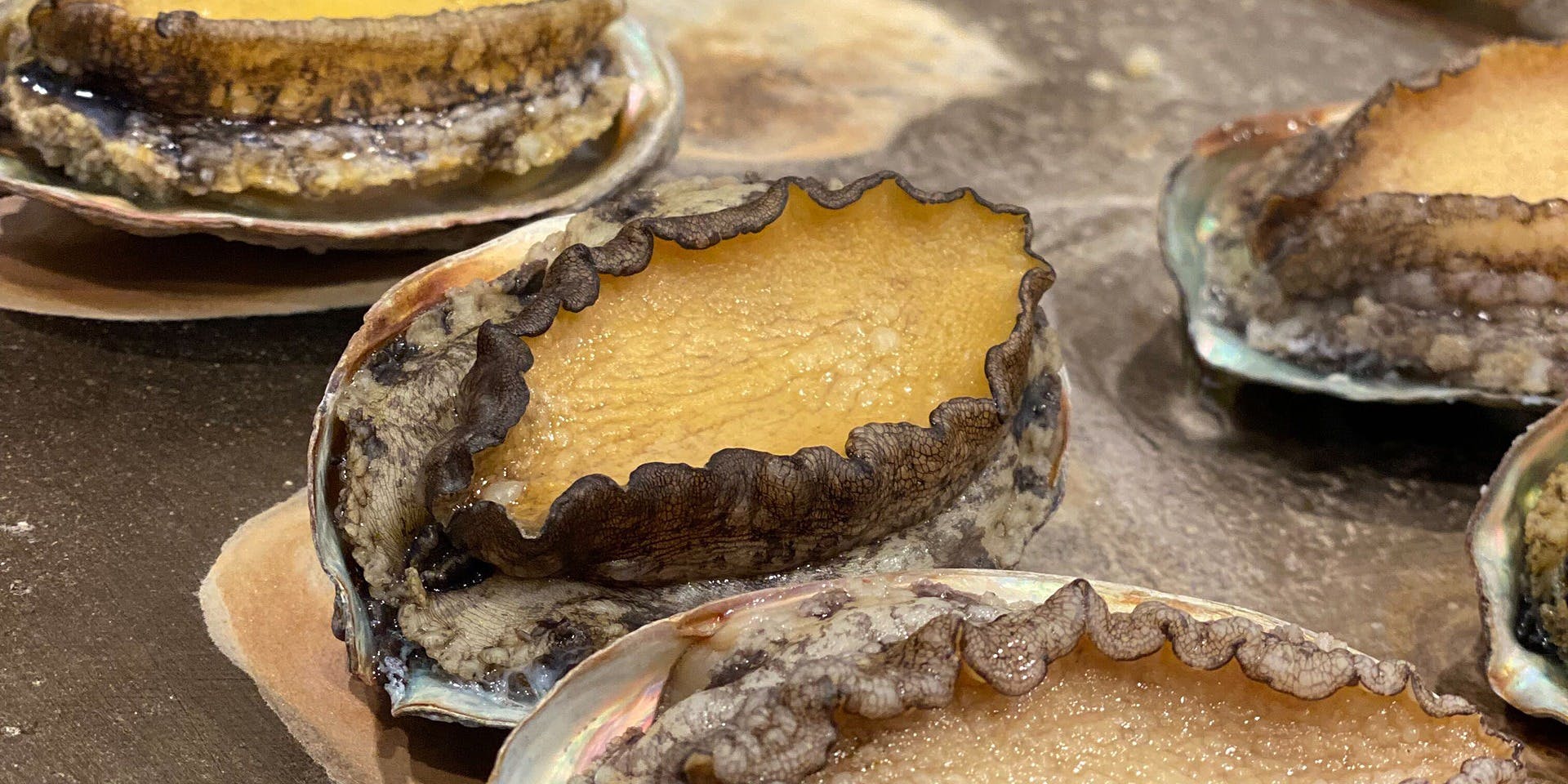 mahoroba 鉄板 心斎橋