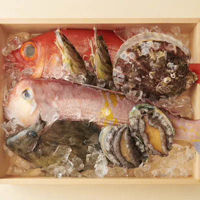 季節の食材を使ったおまかせコースをご堪能ください