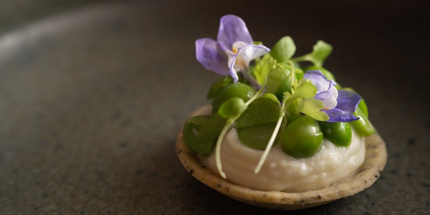 COCCHI コッキ - 画像3