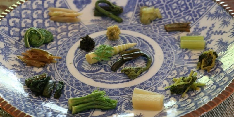 【春限定！山菜料理堪能コース】豊富な種類の前菜・天ぷら・山家鍋など全9品