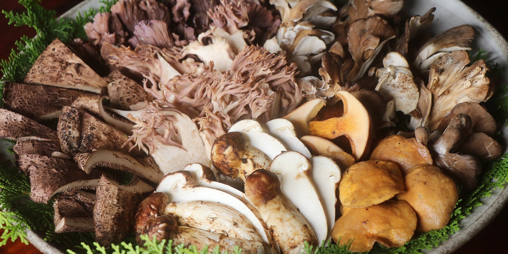 飛騨季節料理 肴