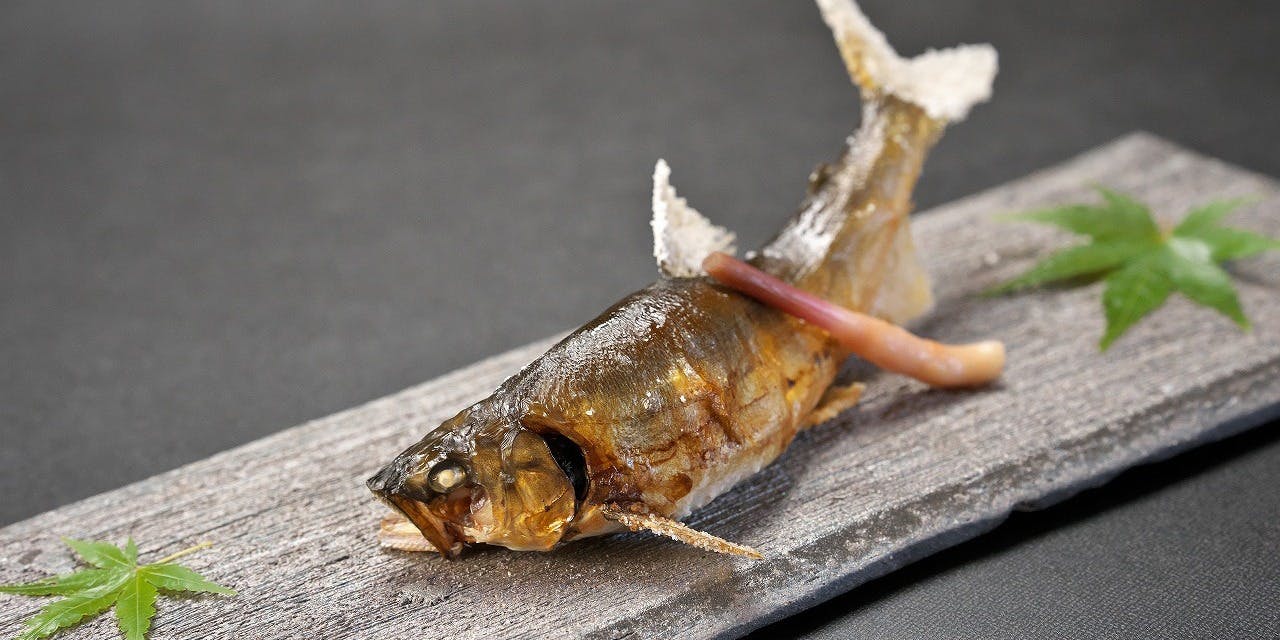 飛騨季節料理 肴