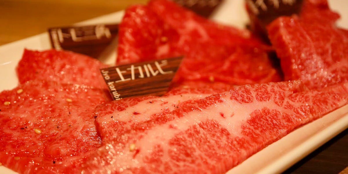 NO MEAT,NO LIFE. 6x（ノー ミート ノー ライフ 6）