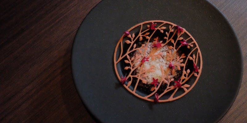 スタンダードコース