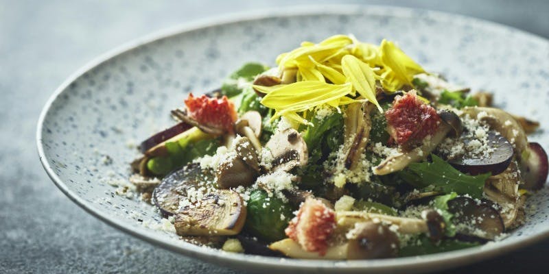 【冬メニュー・おまかせカウンター限定コース 全5品】旬の食材でダイニング体験を満喫（1/5～）