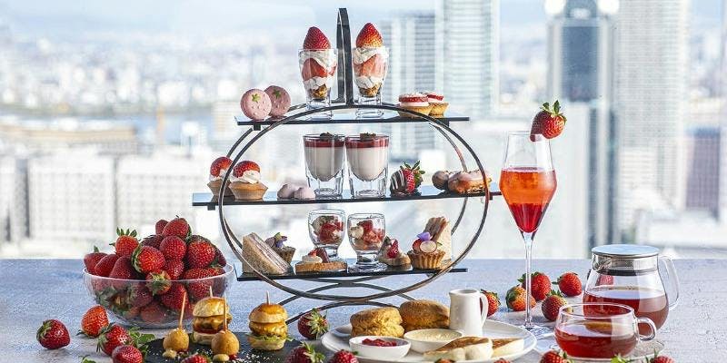 Bella�^��}�O�����h�r���ŏ�K�i31F�j