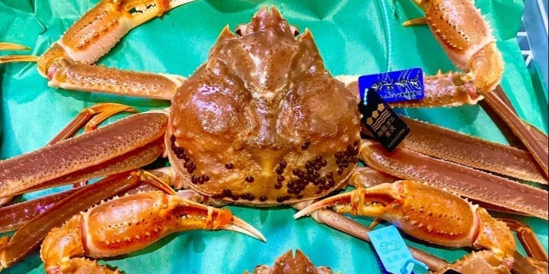 冬のおまかせコース～日本海産ズワイ蟹、日本海産香箱蟹、寒鰤など～約10品※注意事項をご確認ください
