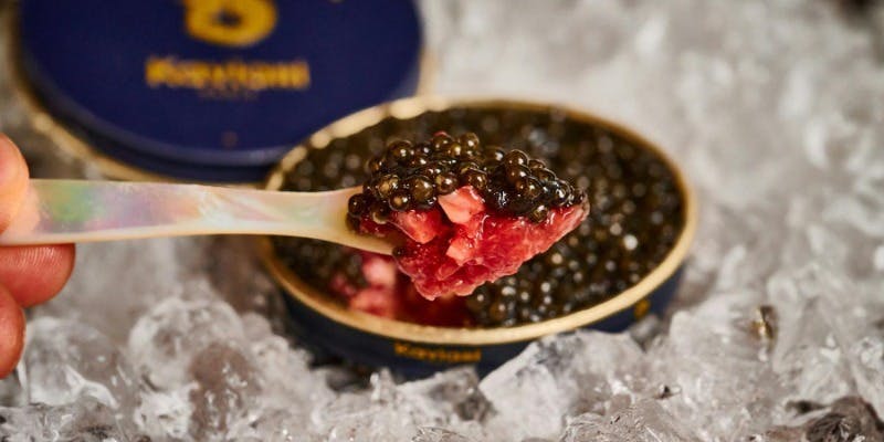 年末年始特別コース