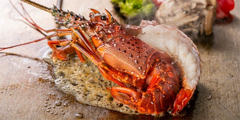 TEPPANYAKI 10 FUKUOKA - 画像5