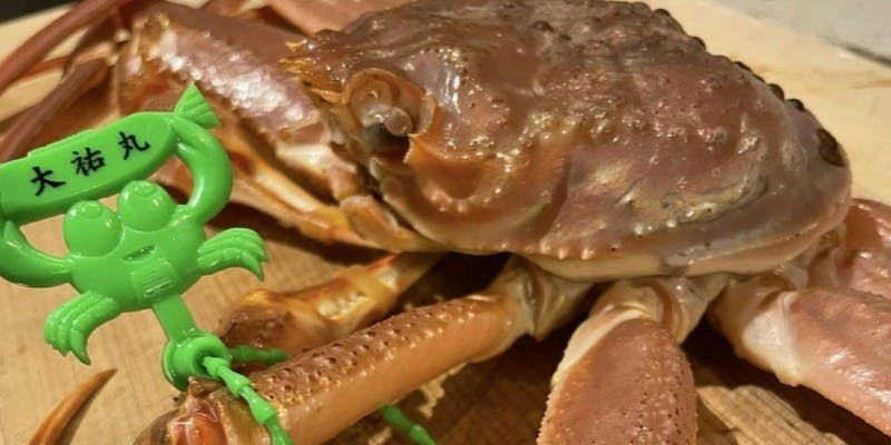 冬季限定　極上松葉かにコース