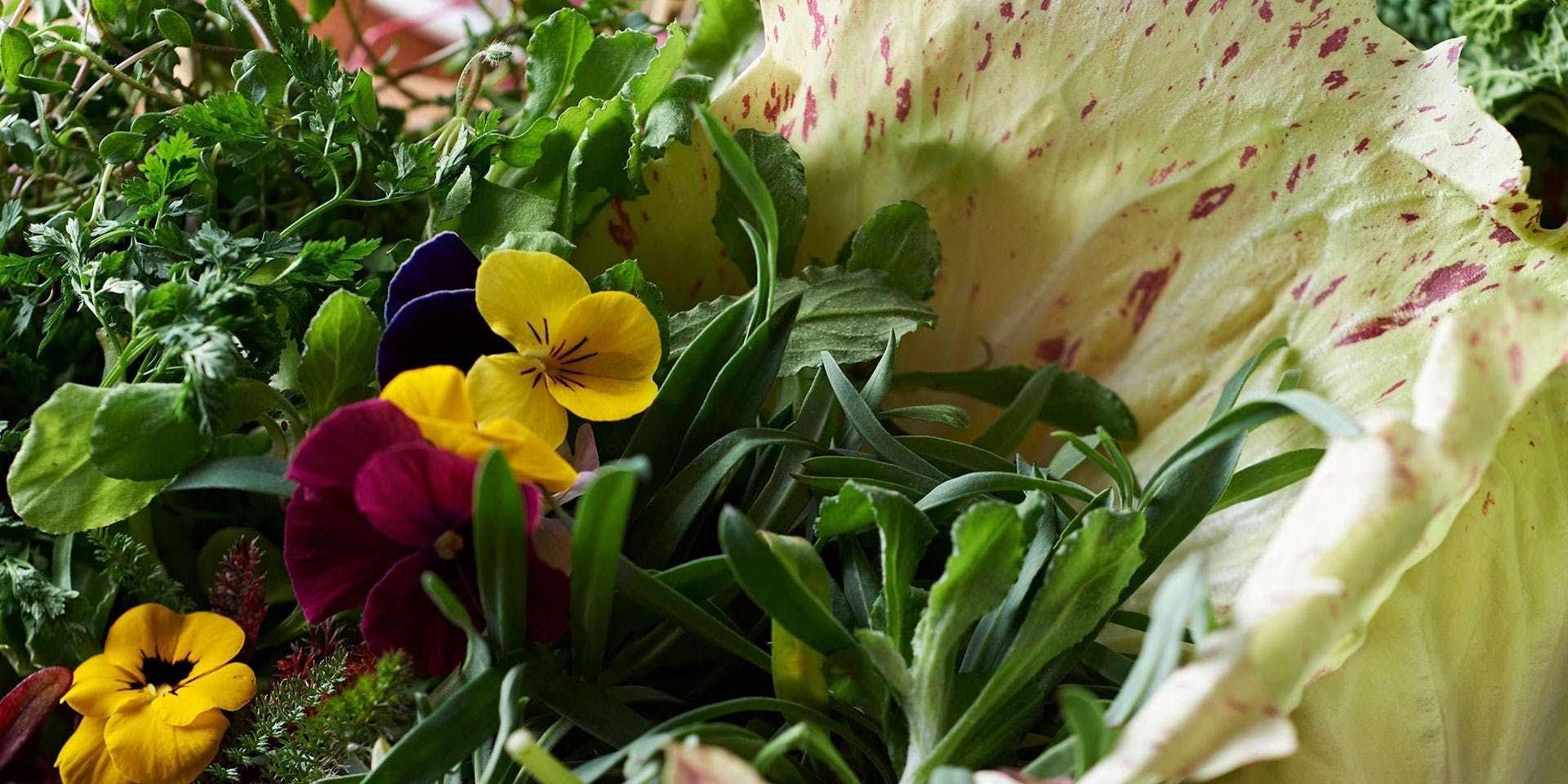 オステリア レ テッレ（Osteria le Terre）