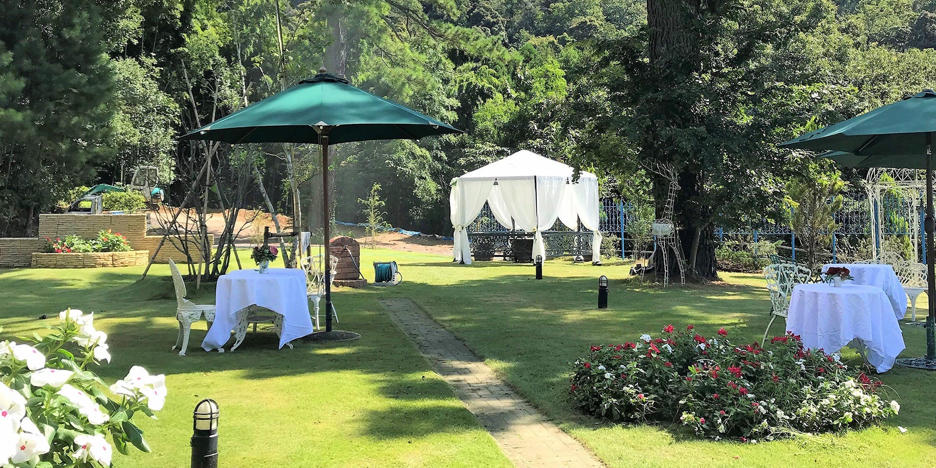 レストラン ピトレスク／6月の森オーベ  ルジュ - 画像4