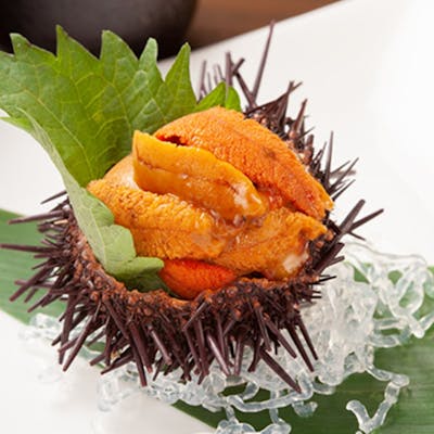 厳選酒を雲丹と共に