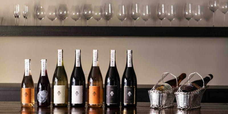 【アミューズ、前菜3種付】アラカルト予約