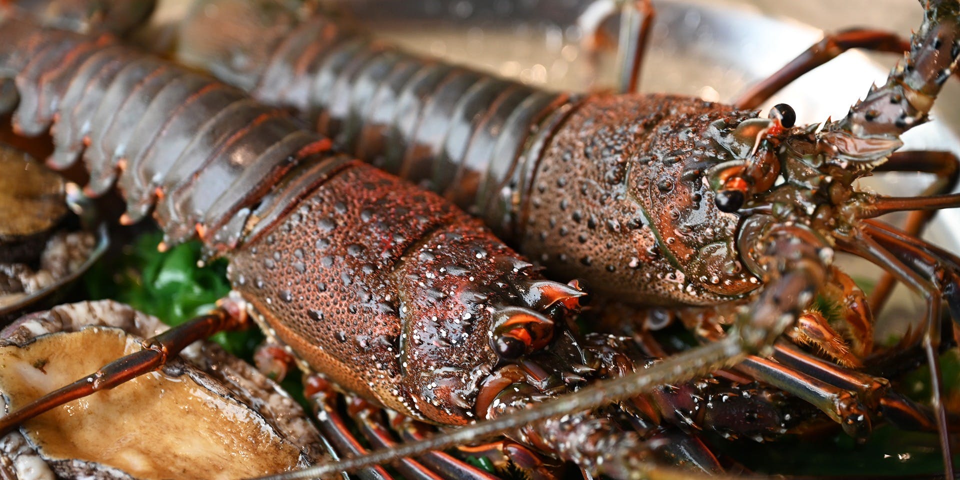 和風牛肉料理 まつもと - 画像5