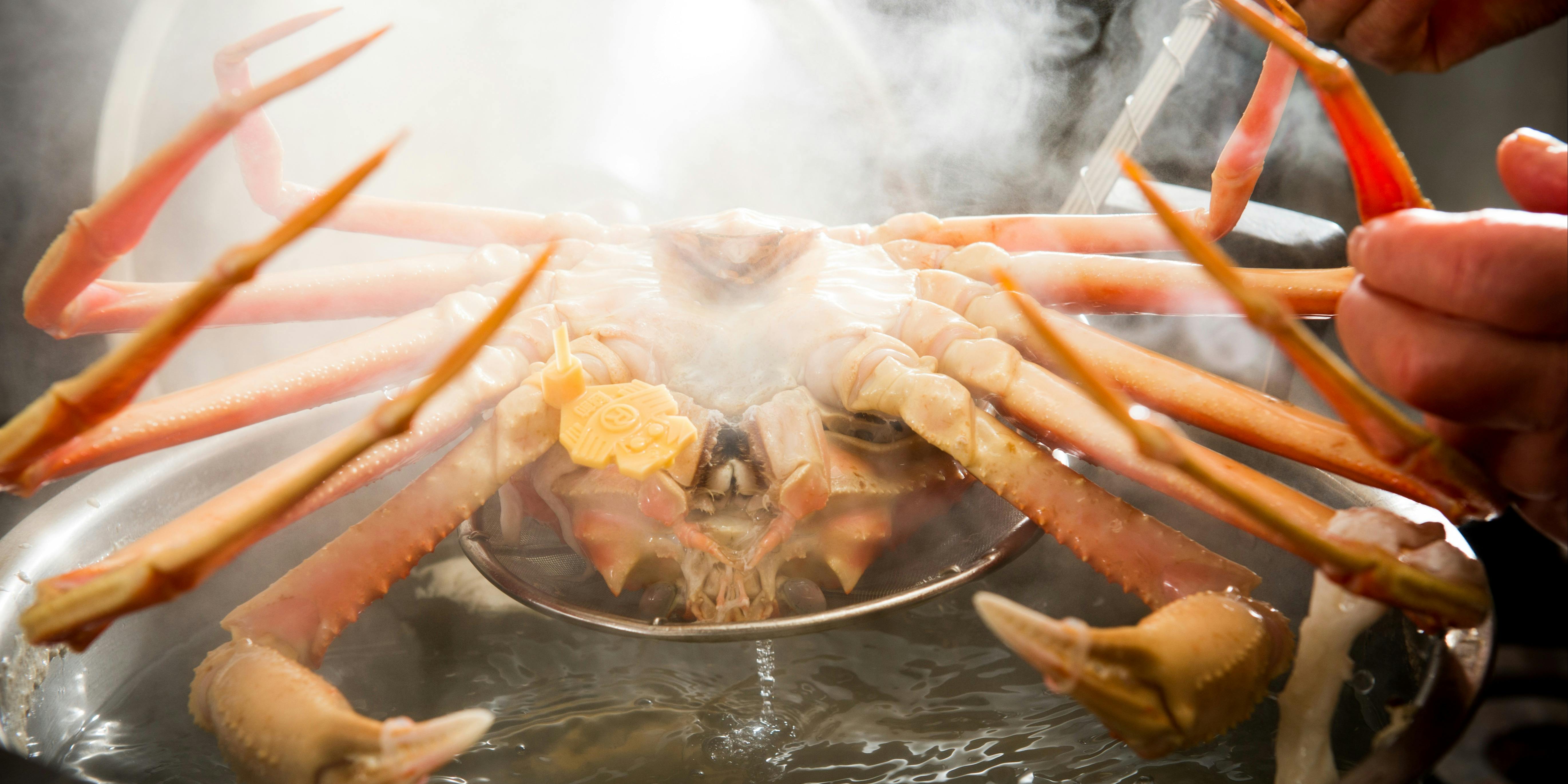 滝の川 福井御幸店