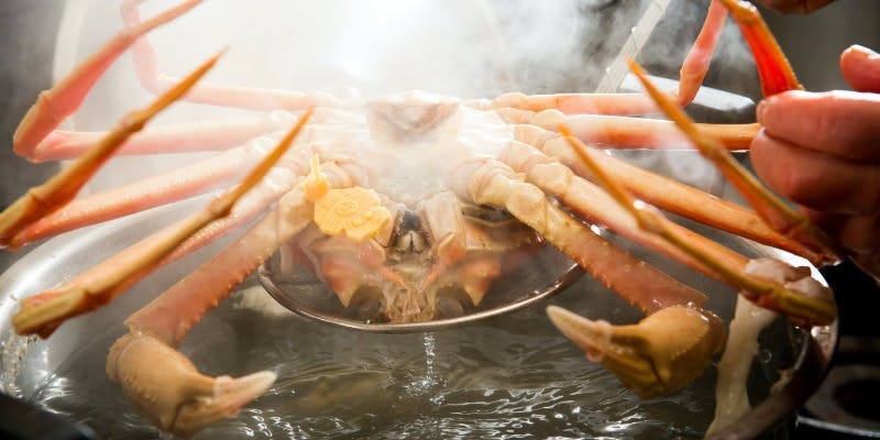 滝の川（たきのかわ）