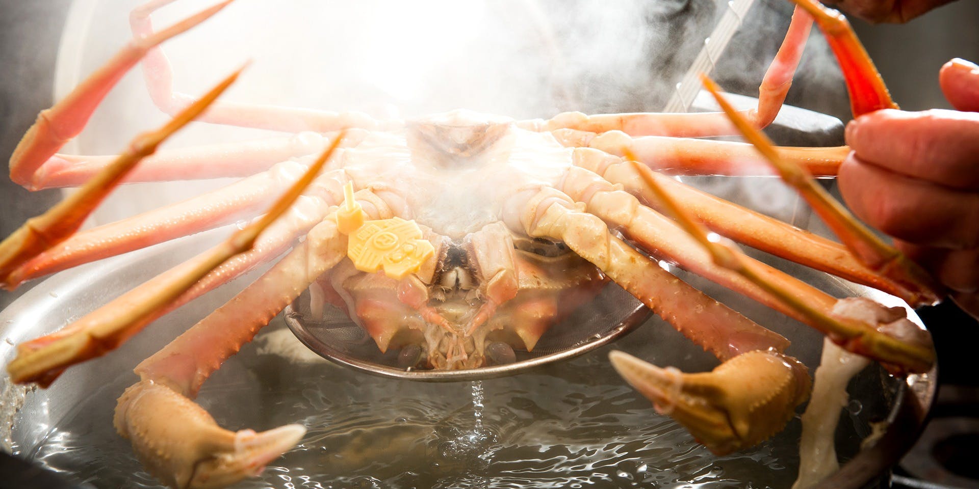 滝の川（たきのかわ）