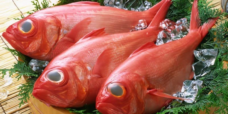 海の幸の肴のショートコース（リクエスト予約）