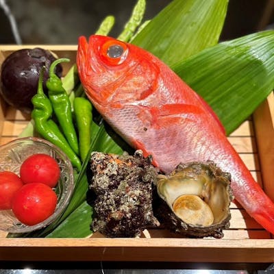 産地直送高級鮮魚/貝類炭火焼のこだわり高知県産土佐備長炭で