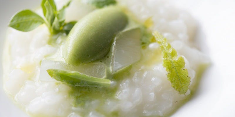 SHOKUDO YArn - 画像3