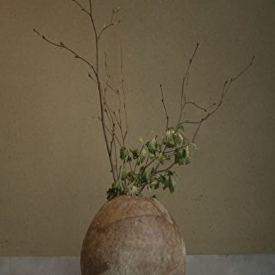 撚糸工場をリノベーションした温かみのあるモダンな空間