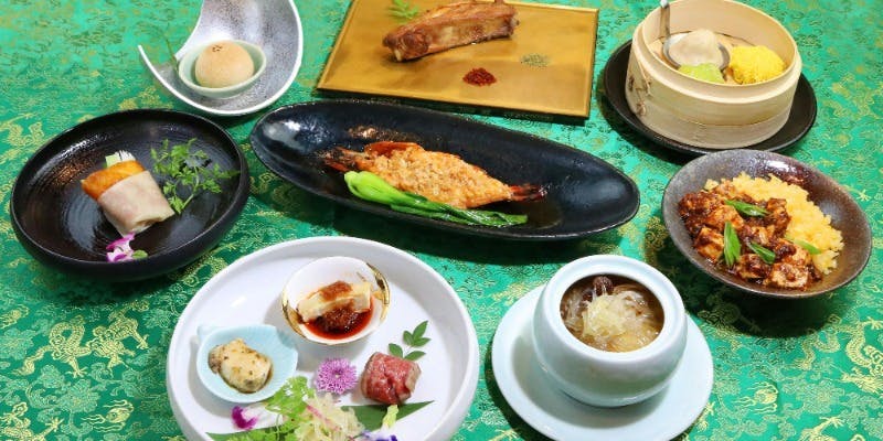 中国菜酒 蜀留香 【九塞溝コース】全品個々盛り提供（全8品）＋3時間