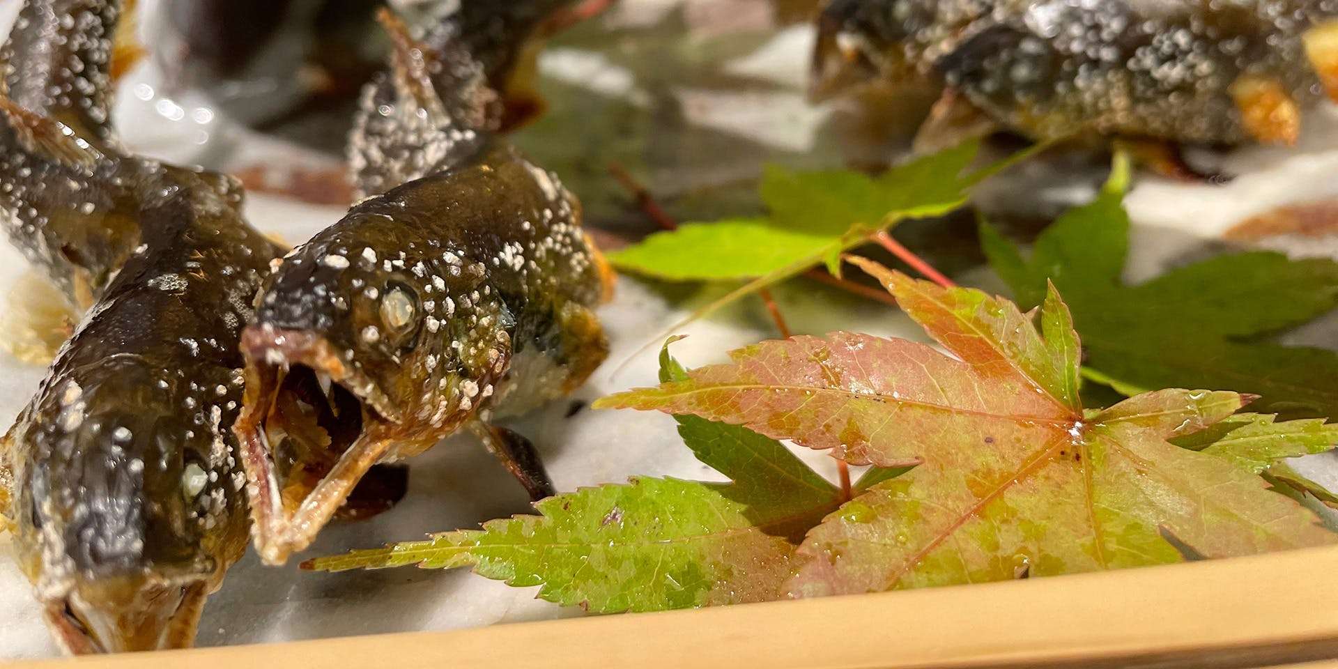 日本料理 味所望（ニホンリョウリアジショモウ）