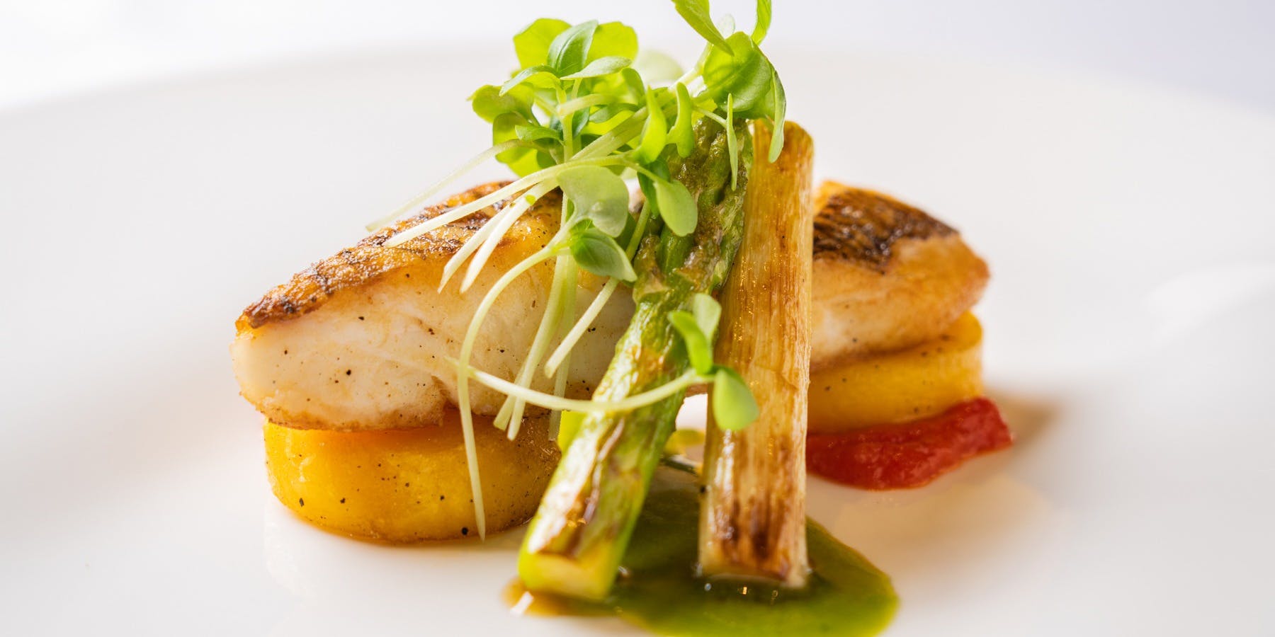 THE HOUSE K.MINAMOTO - 画像5