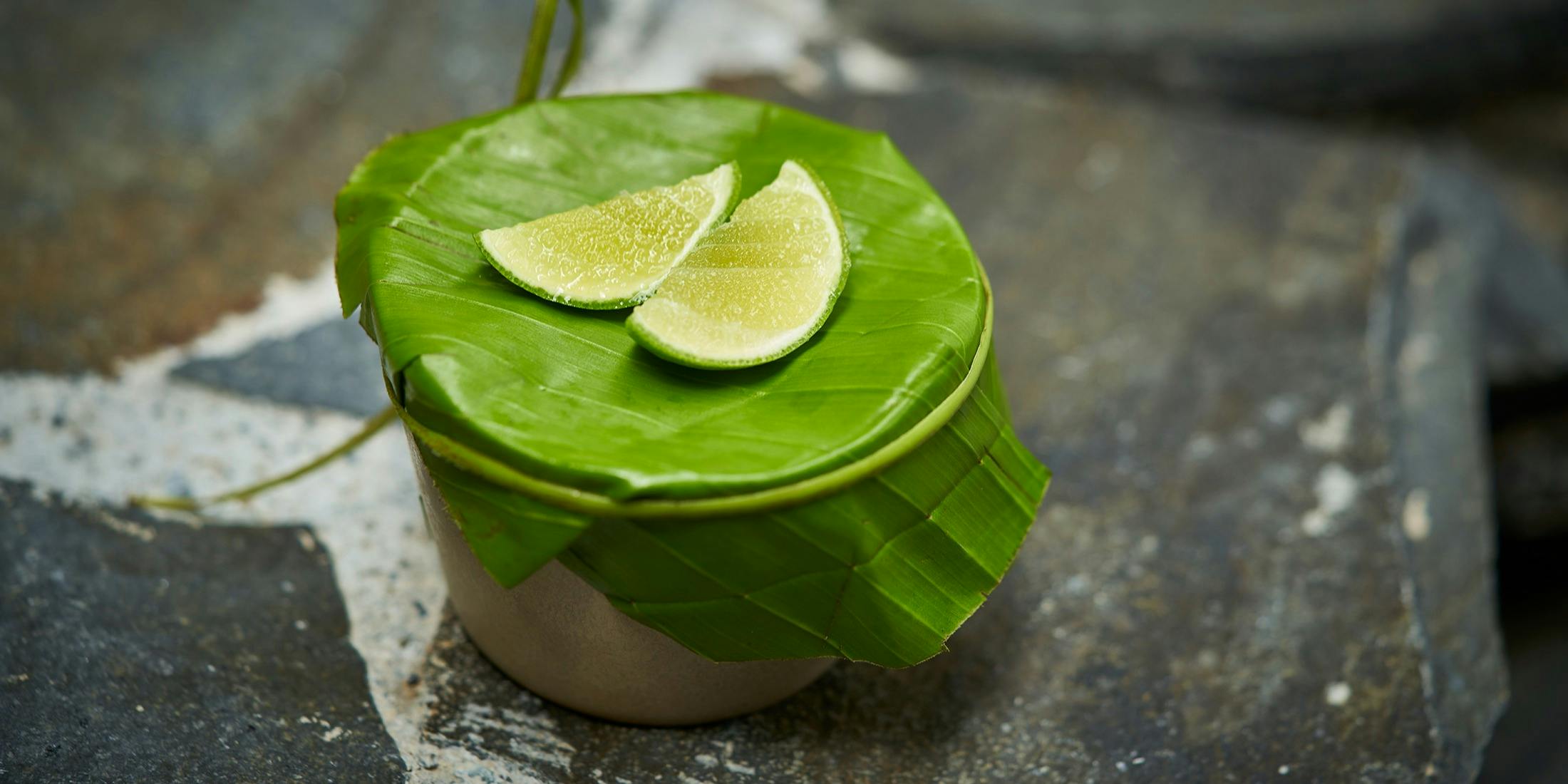 Ayatana（アヤタナ）